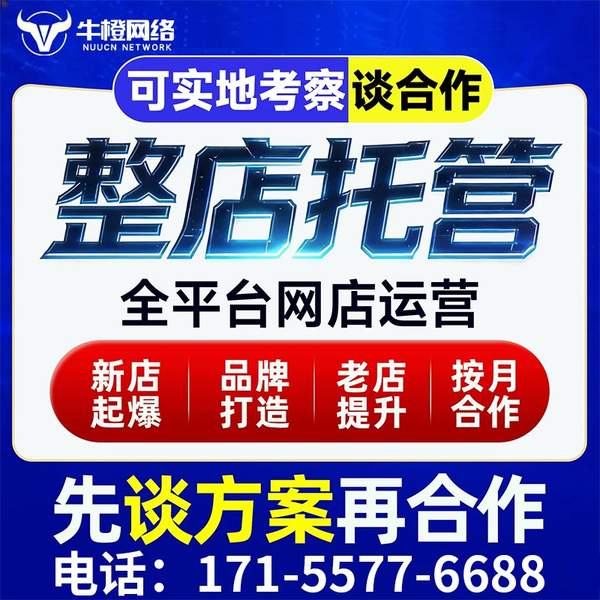 成都电商代运营