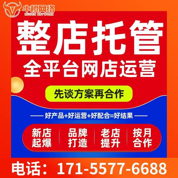 成都电商代运营